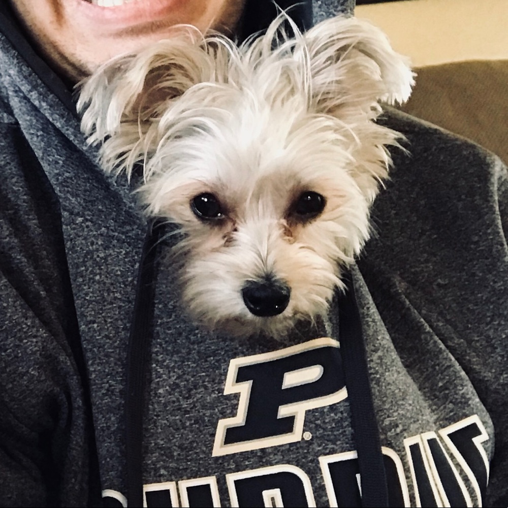 Meet your Posher, Zeus